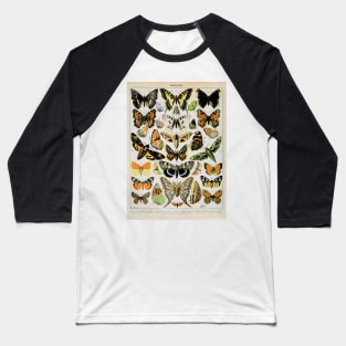 Papillon III Vintage French Butterfly & Moth Chart by Adolphe Millot Baseball T-Shirt